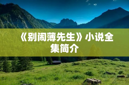 《别闹薄先生》小说全集简介