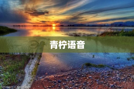 青柠语音:打开未来的交流之门 青柠语音:打开未来的交流之门