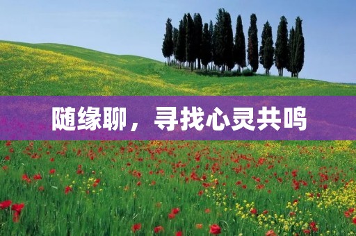随缘聊，寻找心灵共鸣