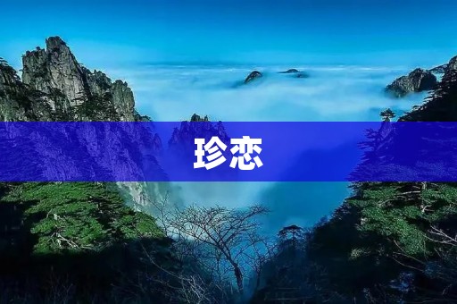 珍恋:爱与珍贵的相遇 珍恋:爱与珍贵的相遇