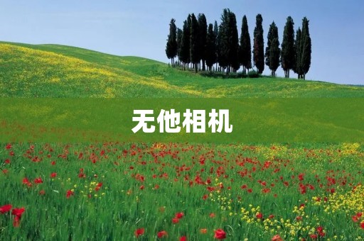 无他相机:一款颠覆传统的智能相机 无他相机:一款颠覆传统的智能相机