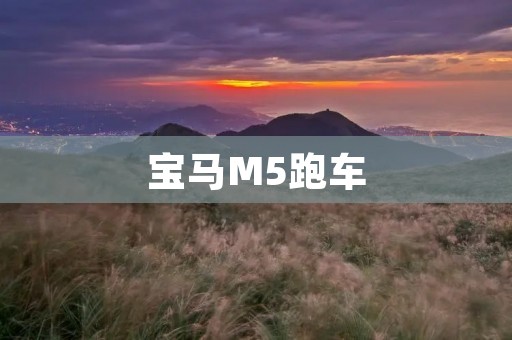 宝马M5跑车:德系之巅的速度狂飙 宝马M5跑车:德系之巅的速度狂飙