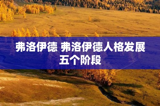 弗洛伊德 弗洛伊德人格发展五个阶段