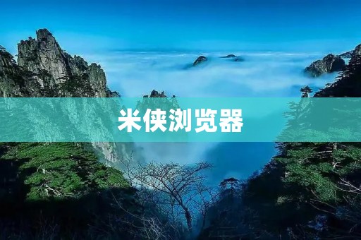 米侠浏览器：全新体验，畅游互联网