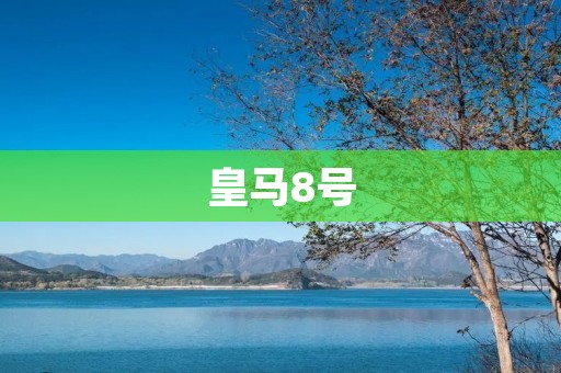 皇马8号:传奇与荣耀的象征 皇马8号:传奇与荣耀的象征