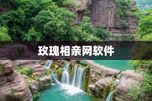 玫瑰相亲网软件:寻找真爱的最佳平台 玫瑰相亲网软件:寻找真爱的最佳平台