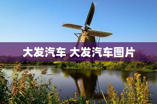 大发汽车 大发汽车图片