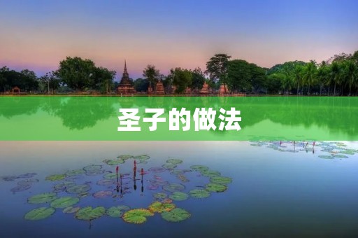 圣子的做法:一场美食的味觉盛宴 圣子的做法:一场美食的味觉盛宴