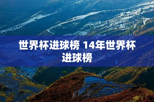 世界杯进球榜 14年世界杯进球榜