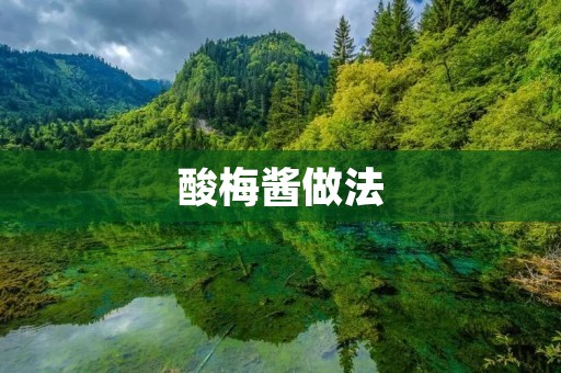 酸梅酱做法:美味可口的自制酸梅酱制作详解 酸梅酱做法:美味可口的自制酸梅酱制作详解