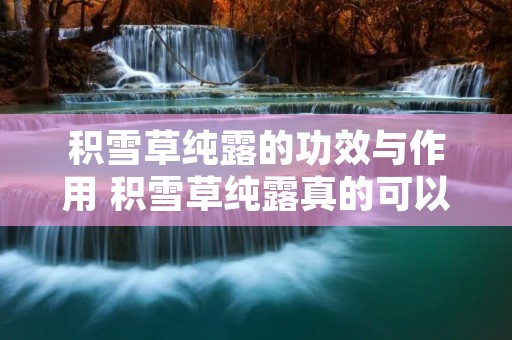 积雪草纯露的功效与作用 积雪草纯露真的可以祛痘印吗