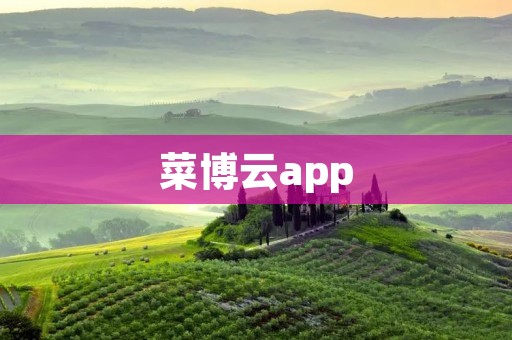菜博云app：打造智慧餐饮新时代