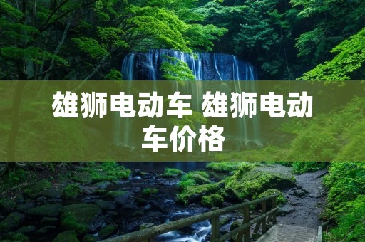 雄狮电动车 雄狮电动车价格 雄狮电动车 雄狮电动车价格
