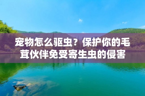 宠物怎么驱虫?保护你的毛茸伙伴免受寄生虫的侵害 宠物怎么驱虫?保护你的毛茸伙伴免受寄生虫的侵害