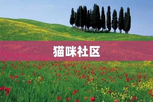 猫咪社区：与喵星人共度时光