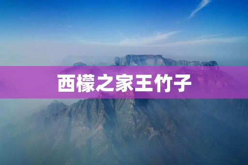 西檬之家王竹子：领航家居创新，让生活更美好