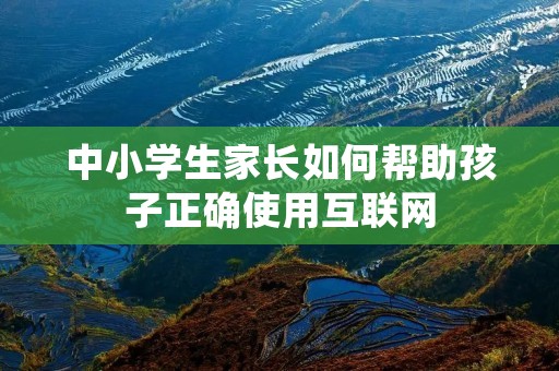 中小学生家长如何帮助孩子正确使用互联网