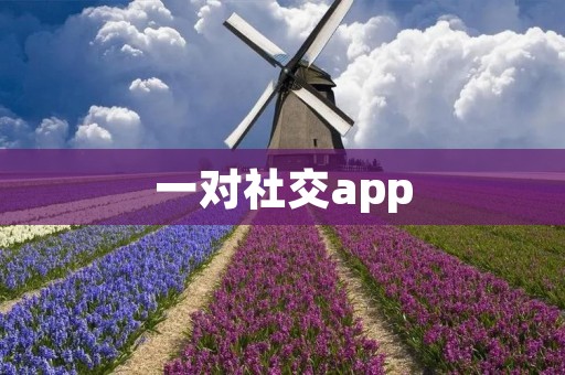 一对社交app:连接世界的纽带 一对社交app:连接世界的纽带