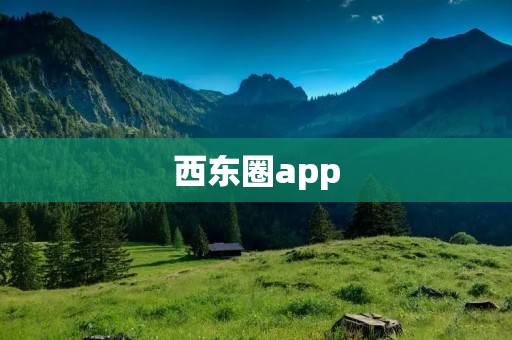 西东圈app：连接西方与东方的文化交流平台