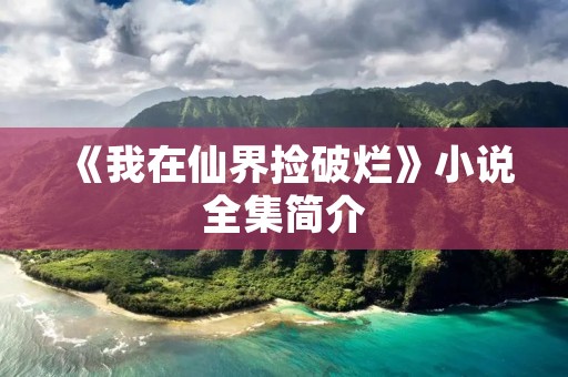 《我在仙界捡破烂》小说全集简介