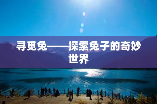 寻觅兔——探索兔子的奇妙世界 寻觅兔——探索兔子的奇妙世界