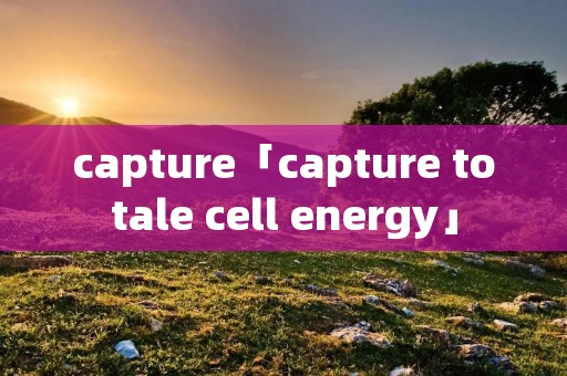 capture「capture totale cell energy」