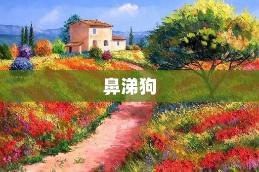 鼻涕狗：如何应对宠物鼻涕过多的问题？