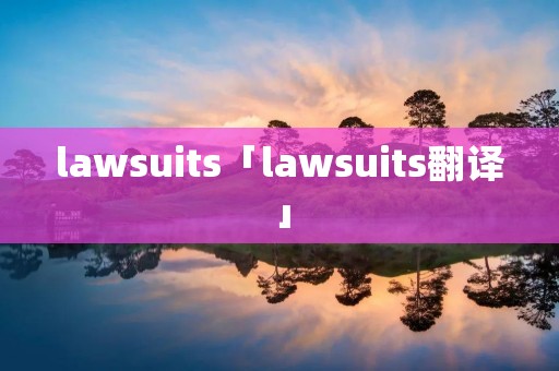 lawsuits「lawsuits翻译」