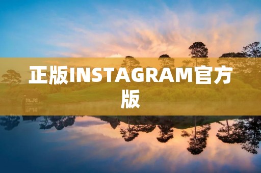 正版INSTAGRAM官方版：记录生活，分享瞬间
