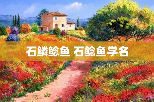 石鳞鲶鱼 石鲶鱼学名