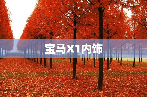 宝马X1内饰:奢华与舒适的完美结合 宝马X1内饰:奢华与舒适的完美结合