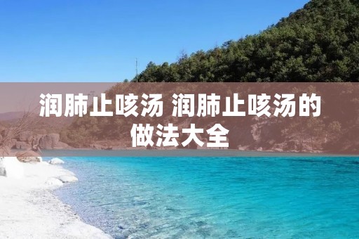 润肺止咳汤 润肺止咳汤的做法大全