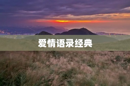 爱情语录经典：用文字凝聚爱的力量