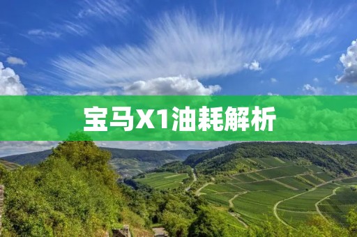 宝马X1油耗解析:全方位剖析宝马X1的燃油经济性能 宝马X1油耗解析:全方位剖析宝马X1的燃油经济性能