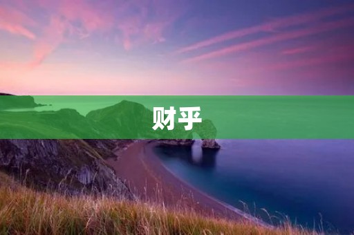 财乎:打造你的财务智能助手 财乎:打造你的财务智能助手