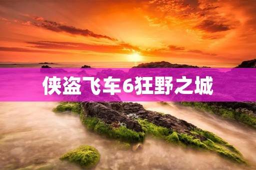 侠盗飞车6狂野之城:全新的犯罪世界