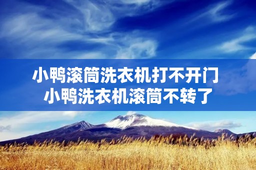 小鸭滚筒洗衣机打不开门 小鸭洗衣机滚筒不转了 小鸭滚筒洗衣机打不开门 小鸭洗衣机滚筒不转了