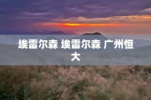 埃雷尔森 埃雷尔森 广州恒大 埃雷尔森 埃雷尔森 广州恒大