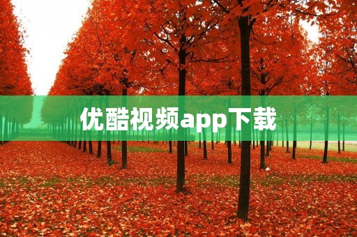 优酷视频app下载：让你随时随地畅享精彩视频！