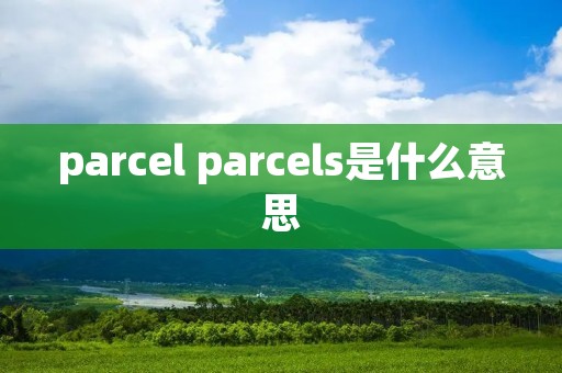 parcel parcels是什么意思
