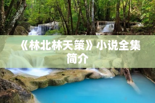 《林北林天策》小说全集简介