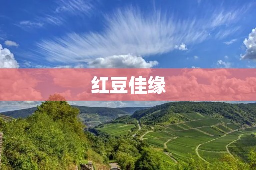 红豆佳缘：寻找真爱的最佳平台