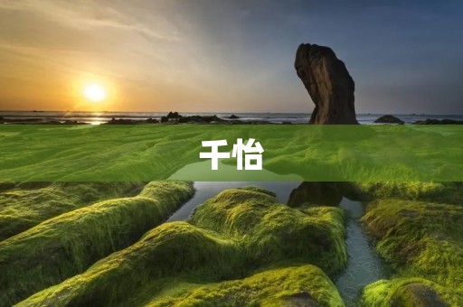 千怡：颠覆传统的社交电商平台