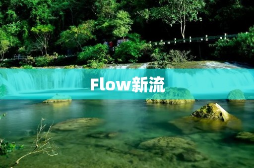 Flow新流:探索未来的创新之道 Flow新流:探索未来的创新之道