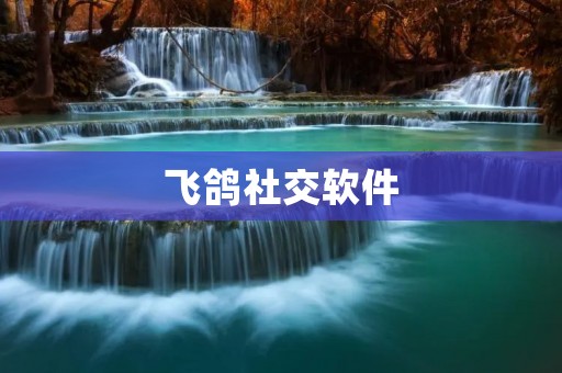 飞鸽社交软件:连接你我,分享快乐 飞鸽社交软件:连接你我,分享快乐