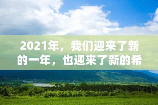 2021年,我们迎来了新的一年,也迎来了新的希望和机遇。在这个充满着挑战和变革的时代,每个人都需要励志奋斗,积极向上,才能在竞争激烈的社会中获得成功。因此,我们需要一些正能量语录来激励自己,让自己更加坚定地走向成功的道路。