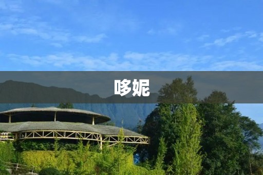 哆妮:给你带来温暖与快乐的毛绒玩具 哆妮:给你带来温暖与快乐的毛绒玩具