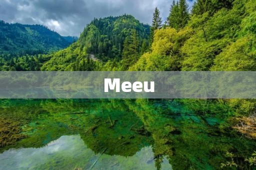 Meeu：领先的智能家居解决方案提供商