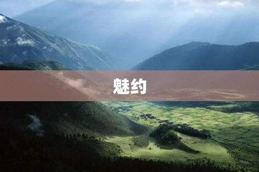 魅约：瞬间点燃心灵的奇妙魔力