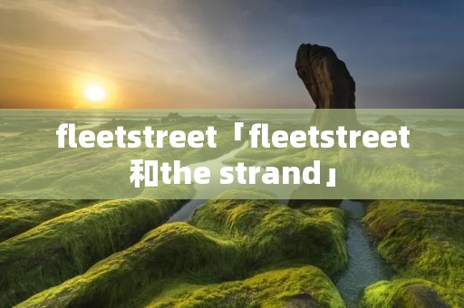 fleetstreet「fleetstreet和the strand」